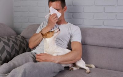 Are Your Pets Ruining Your Indoor Air Quality in Newport News, VA?